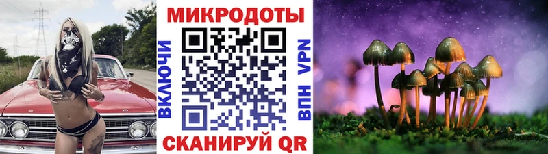 Галлюциногенные грибы Psilocybe купить сайты Нариманов