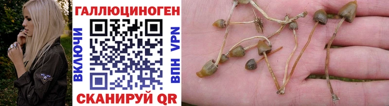 Галлюциногенные грибы прущие грибы Нариманов